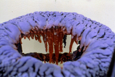 Mantle, detail of seat