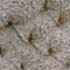 Arsenic and Old Lace, a detail