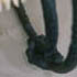 Beloved Elisa, a detail